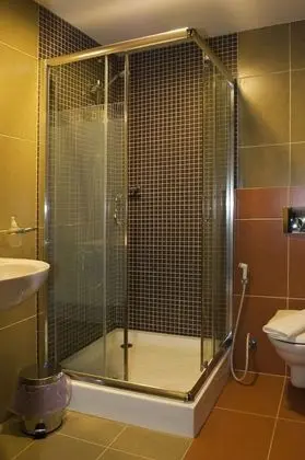 Business Süit, 1 Yatak Odası, Mutfak, Şehir Manzaralı