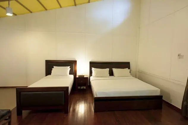 Jungle Mountain Room