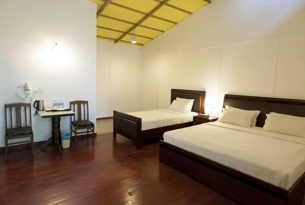 Jungle Mountain Room