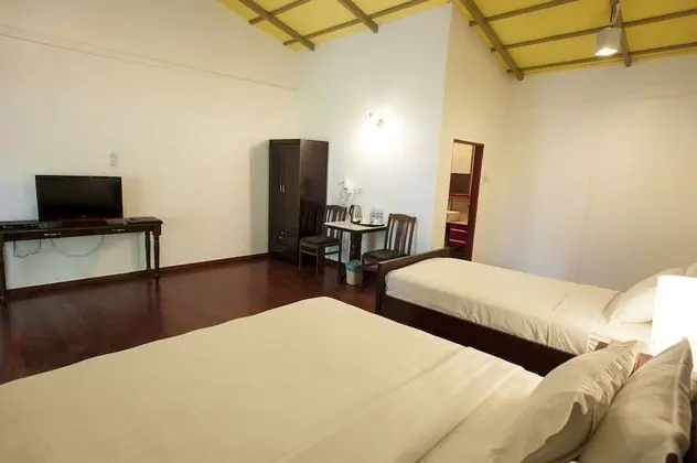 Jungle Mountain Room