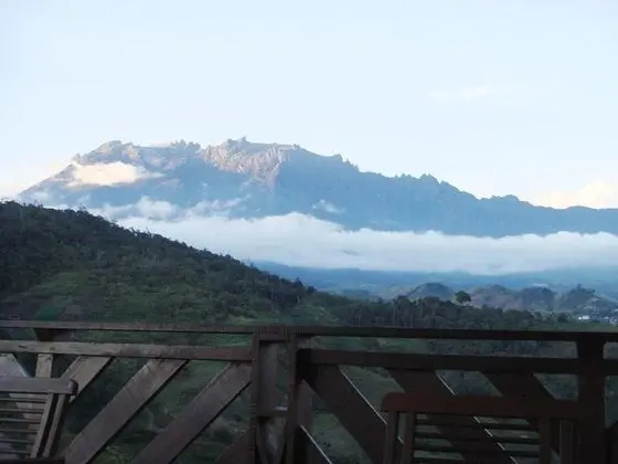 Kinabalu Wing