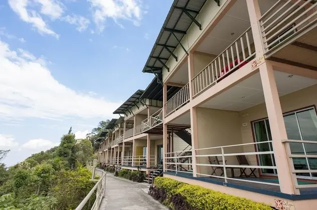 Kinabalu Wing