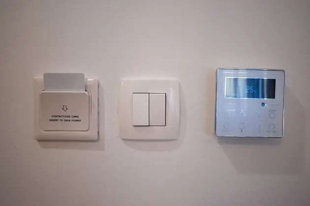 Deluxe Tek Büyük Yataklı Oda, Özel Banyo (Room 2)