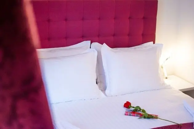 Deluxe Tek Büyük Yataklı Oda, Özel Banyo (Room 3)