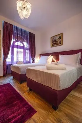 Deluxe Tek Büyük Yataklı Oda, Özel Banyo (Room 4)