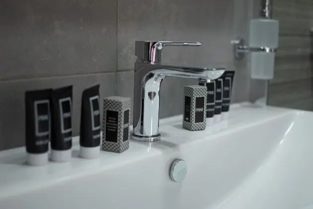 Deluxe Tek Büyük Yataklı Oda, Özel Banyo (Room 5)