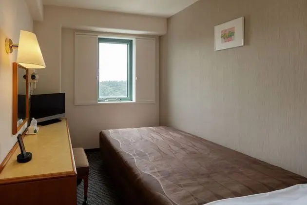 Tek Büyük Yataklı Oda, Sigara İçilmez (Semi, For 1 Adult)