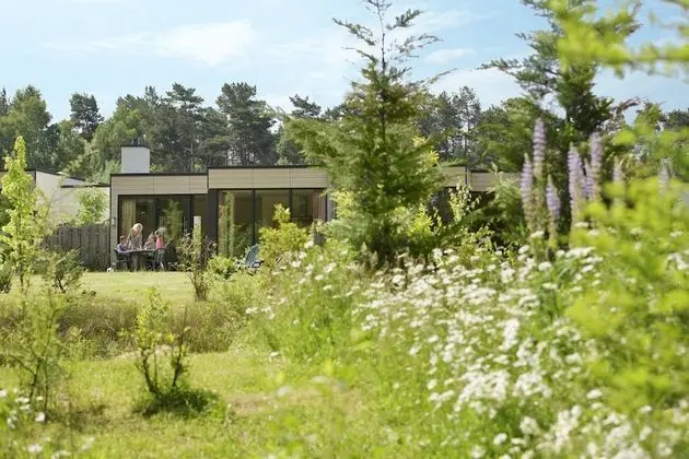 Deluxe Kır Evi (VIP)