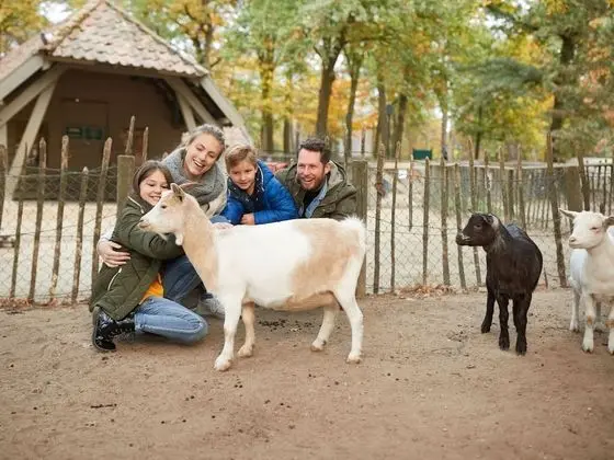 Ev