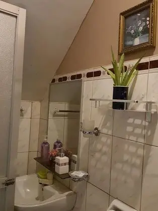 Süit