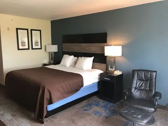 Junior Stüdyo Süit, 1 En Büyük (King) Boy Yatak, Sigara İçilmez