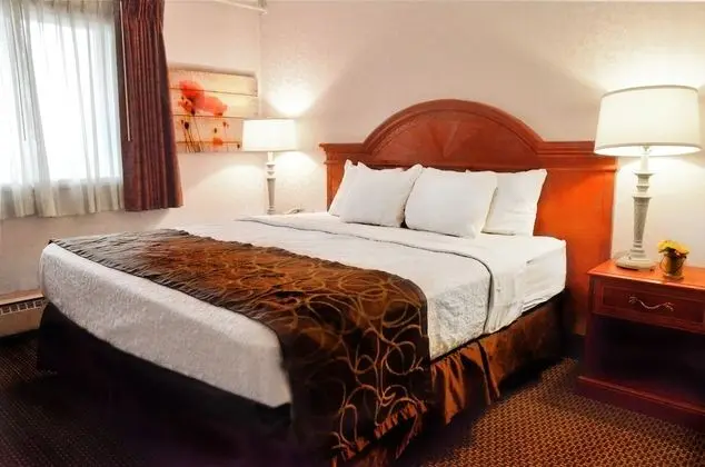 Oda (Extended Stay-King Bed and Murphy Bed)