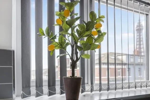 Apart Daire, Özel Banyo (Lemon Suite)