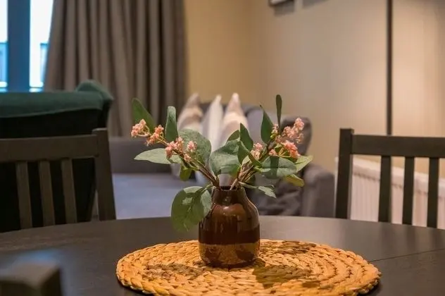 Family Apart Daire, Banyolu/Duşlu (3-Bedroom)