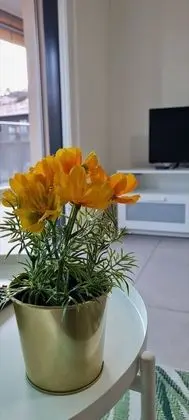 Apart Daire, 1 Yatak Odası, Engellilere Uygun, Balkon