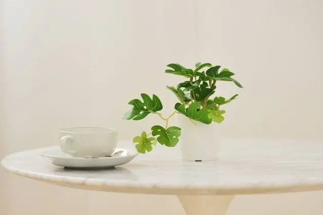 Apart Daire, 1 Yatak Odası, Engellilere Uygun, Balkon