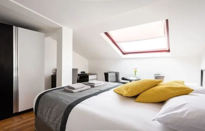 Tek Büyük Yataklı Oda, Özel Banyo (Skylight)