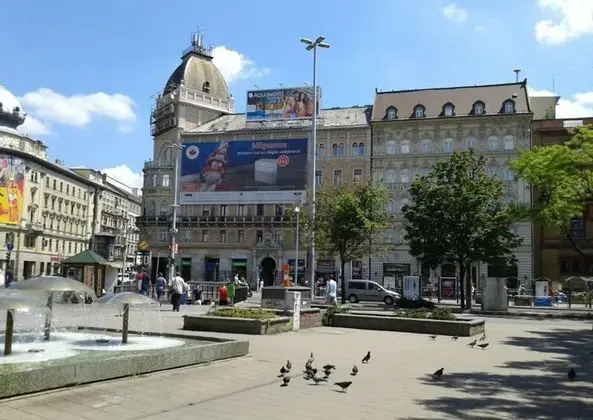 Apart Daire, 1 Yatak Odası, Mikrodalga