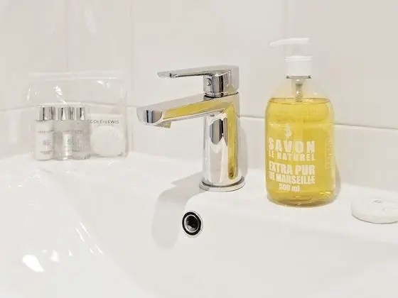 Apart Daire, Özel Banyo (Central London Flat)