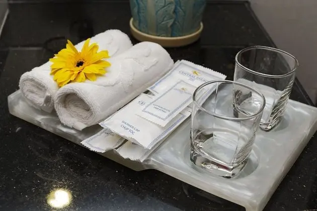 Deluxe Tek Büyük veya İki Ayrı Yataklı Oda