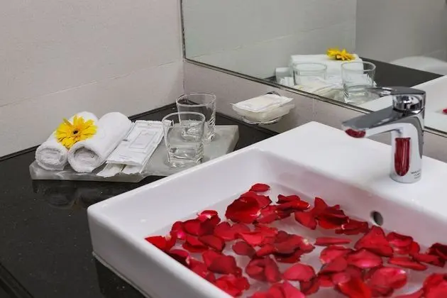 Deluxe Tek Büyük veya İki Ayrı Yataklı Oda