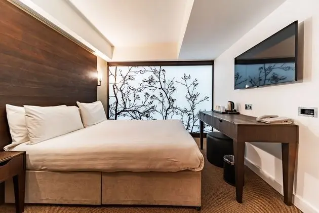 Deluxe Tek Büyük Yataklı Oda, 1 Çift Kişilik Yatak
