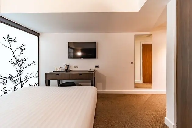 Deluxe Tek Büyük Yataklı Oda, 1 Çift Kişilik Yatak