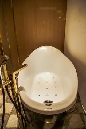Family İki Ayrı Yataklı Oda, Sigara İçilmez (Deluxe Family Twin Room)