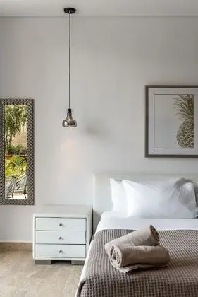 Deluxe Stüdyo, 1 Yatak Odası, Banyolu/Duşlu