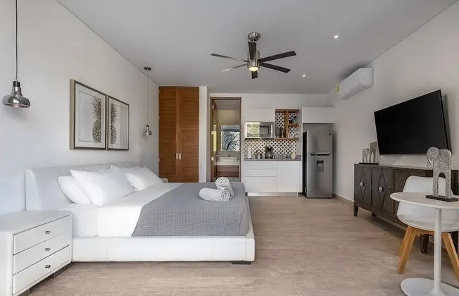 Deluxe Stüdyo, 1 Yatak Odası, Banyolu/Duşlu