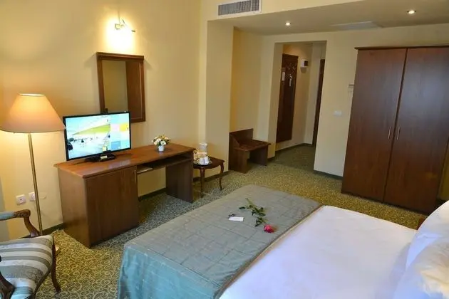 Executive Tek Büyük Yataklı Oda