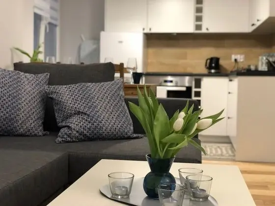 Comfort Apart Daire, 1 Büyük (Queen) Boy Yatak ve Çekyat, Mutfak, Avlu Manzaralı