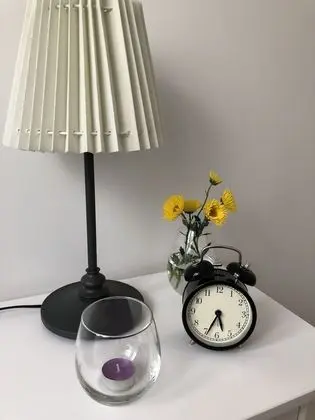 Comfort Apart Daire, 1 Yatak Odası, Küçük Mutfak, Bahçe Manzaralı