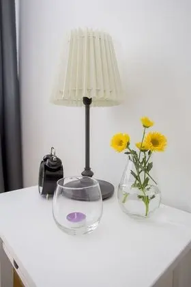 Comfort Apart Daire, 1 Yatak Odası, Küçük Mutfak, Bahçe Manzaralı