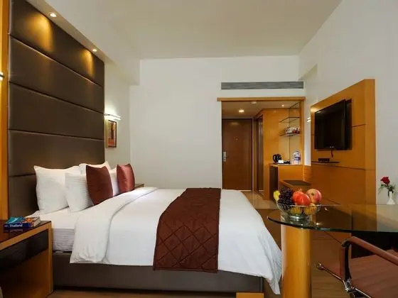 Deluxe Tek Büyük Yataklı Oda, 1 Yatak Odası, Engellilere Uygun, Şehir Manzaralı