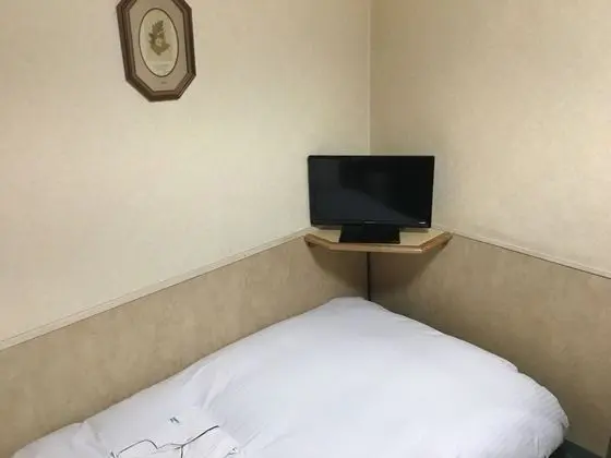 Business İki Ayrı Yataklı Oda, 2 Tek Kişilik Yatak, Sigara İçilmez