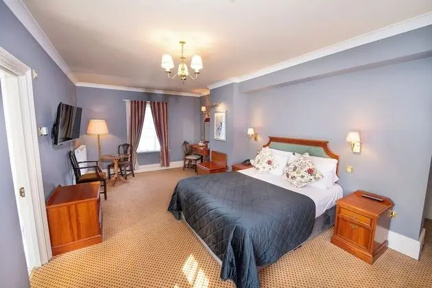 Luxury Tek Büyük Yataklı Oda