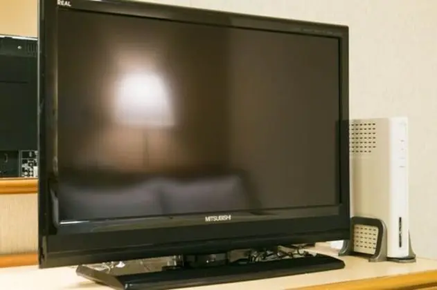 Economy Tek Büyük Yataklı Oda, Sigara İçilebilir (Semi-Double, Main Building)