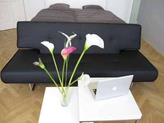 Apart Daire, 1 Yatak Odası, Mutfak (Adresse Hetzgasse 16, 1030 Wien)