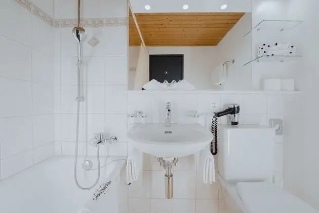 Superior Tek Büyük Yataklı Oda, Balkon, Dağ Manzaralı (Eiger)