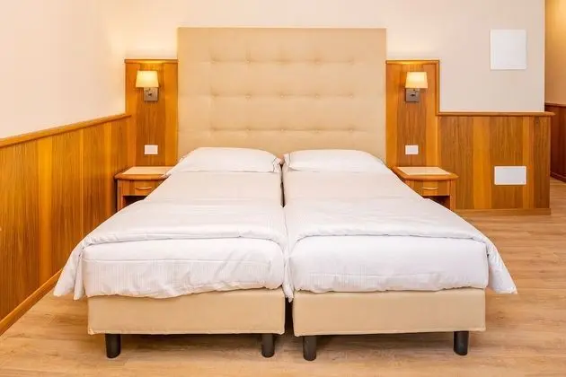 City Tek Büyük veya İki Ayrı Yataklı Oda, Balkon