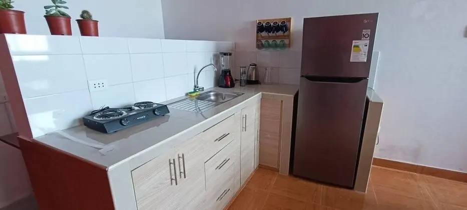 Apart Daire, 1 Yatak Odası, Engellilere Uygun, Sigara İçilebilir