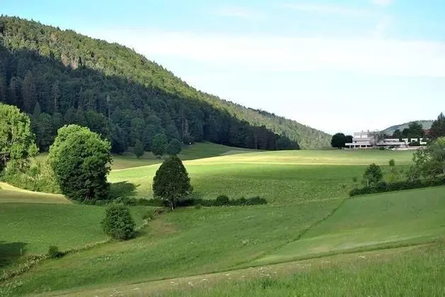 Economy Tek Büyük veya İki Ayrı Yataklı Oda