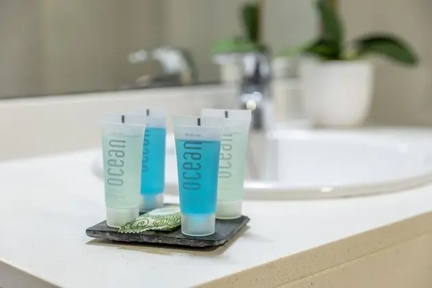 Standard Büyük Yataklı Tek Kişilik Oda, Şehir Manzaralı