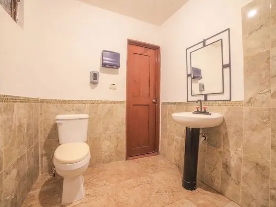 Kulübe