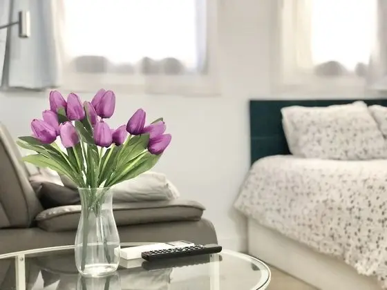 Basic Stüdyo, Banyolu/Duşlu, Şehir Manzaralı (PICACHO BAJO)