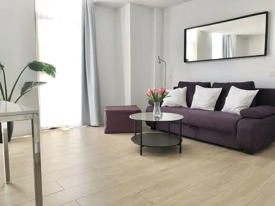 Comfort Çatı Katı Süiti (Penthouse), Banyolu/Duşlu, Şehir Manzaralı (PICACHO 2)