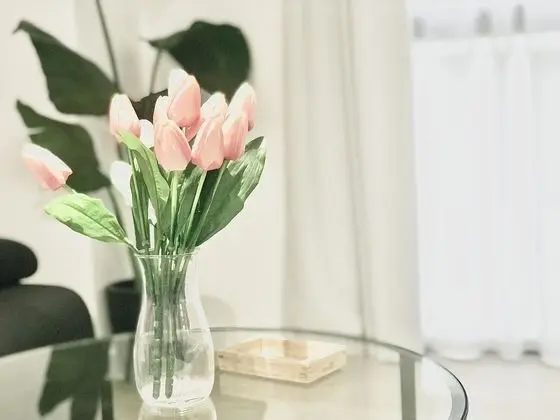 Comfort Stüdyo, Banyolu/Duşlu, Şehir Manzaralı (PICACHO 1)