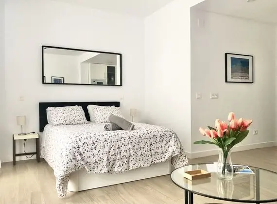 Comfort Stüdyo, Banyolu/Duşlu, Şehir Manzaralı (PICACHO 1)