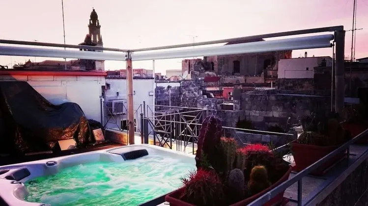 Basic Tek Büyük Yataklı Oda, 1 En Büyük (King) Boy Yatak, Özel Banyo (Santa Chiara)